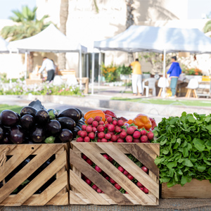 Farmers Market at Dubai Ladies Club