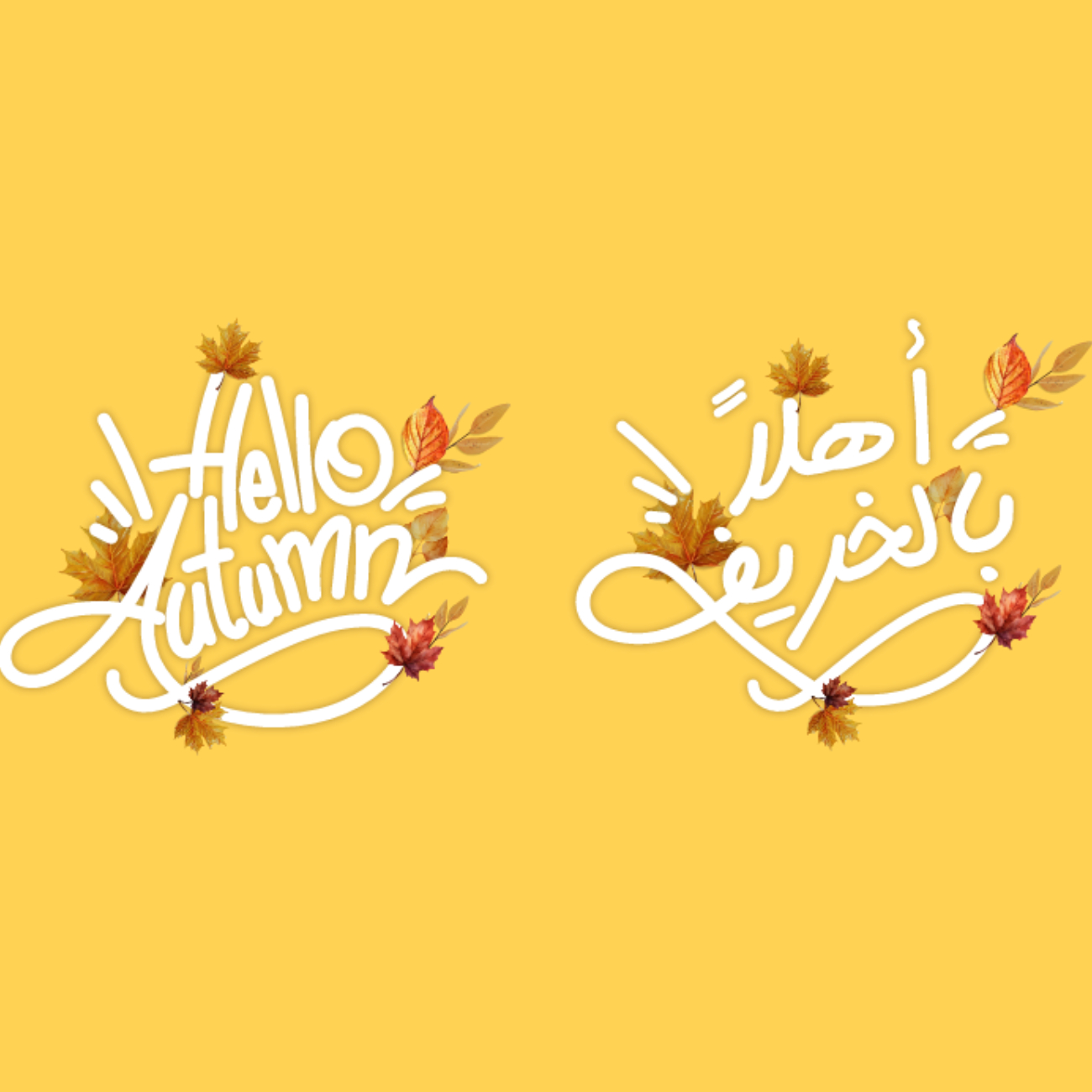 Hello Autumn campaign 